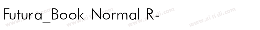 Futura_Book Normal R字体转换